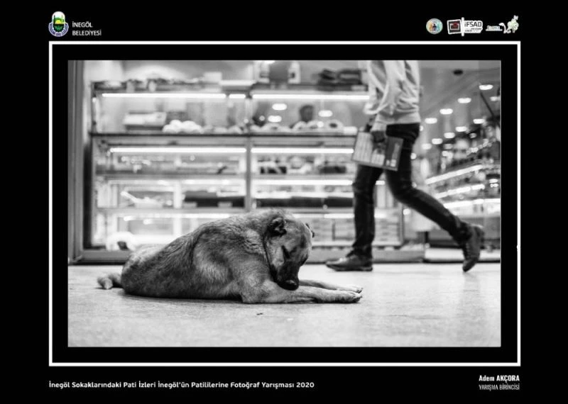 İnegöl sokaklarındaki pati izleri fotoğraflarla ölümsüzleşti

