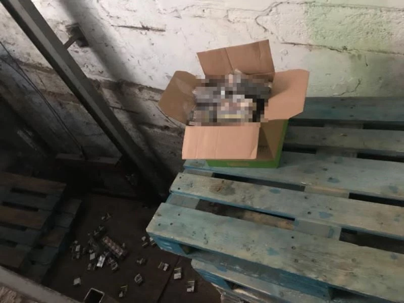 (Özel) Kağıthane’de esnafın bezdiren “iş yeri faresi” kamerada
