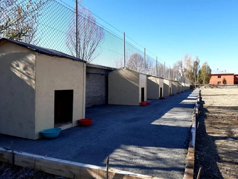 İmranlı’da sokak hayvanları için barınak inşa edildi
