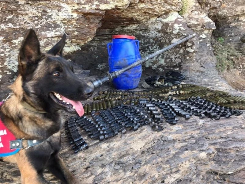 Bingöl’de 2 ayrı noktada tuzaklanan patlayıcı imha edildi
