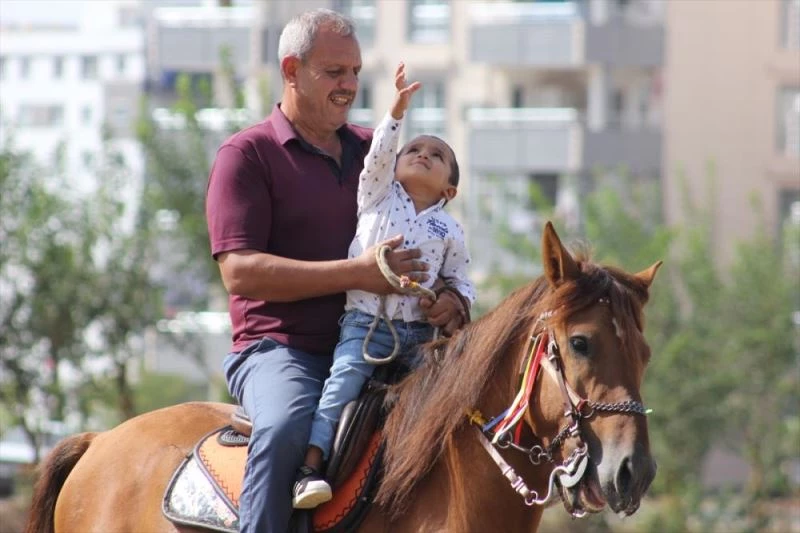 Rahvan at yetiştiriciliğini gelecek nesillere aktarabilmek için 30 yıldır çalışıyor