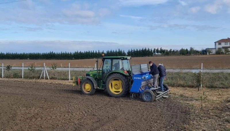 Yerli ve milli yulaf tohumları toprakla buluştu
