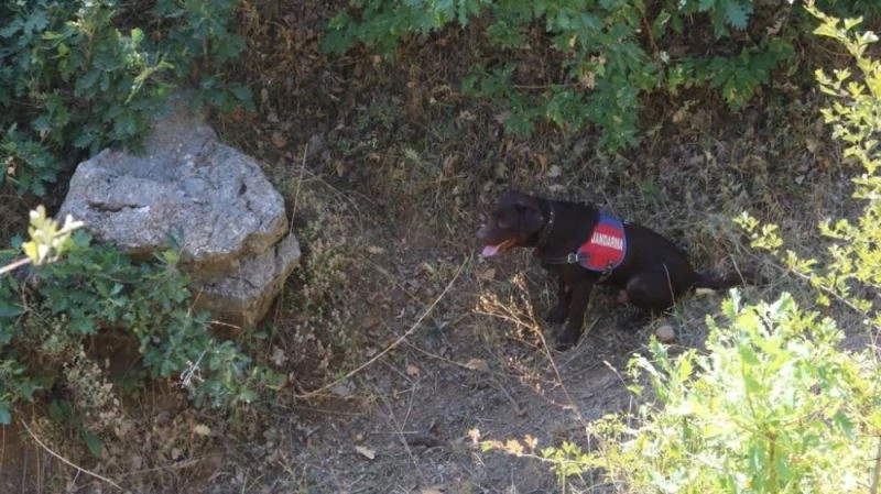 İçişleri Bakanlığınca Bitlis’te ’Yıldırım-15 Mutki-Sarpkaya Operasyonu’ başlatıldı
