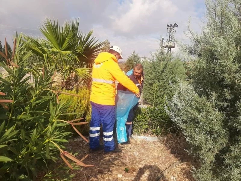 Parklar ve refüjlerde kış bakımı sürüyor

