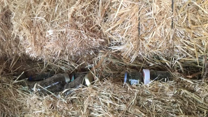 Evden, bahçeden ve traktörden esrar çıktı
