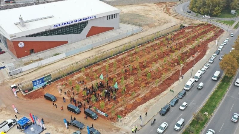 Göllüce’ye orman, Yalangoz’a lavanta bahçesi
