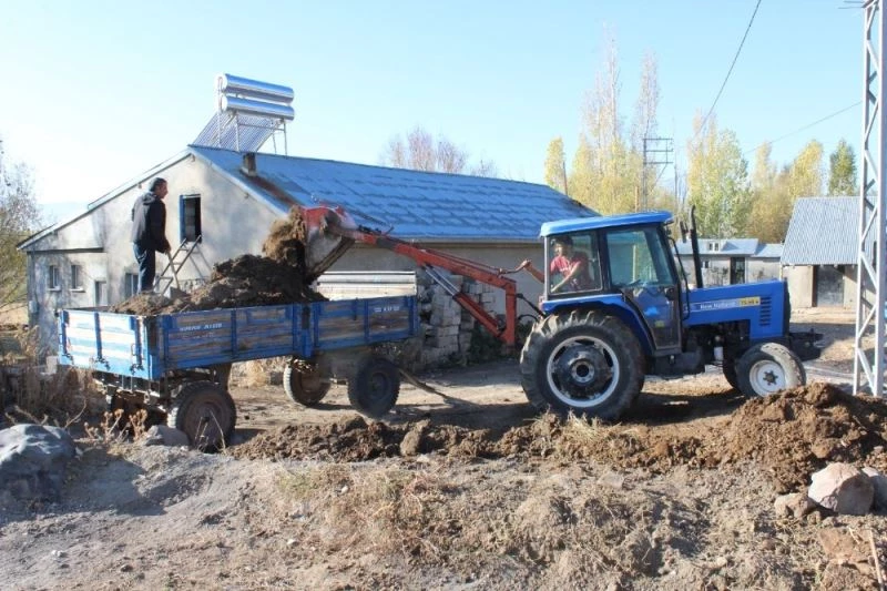 Ağrılı çiftçiler topraktan verim almak için hayvan gübresi kullanıyor
