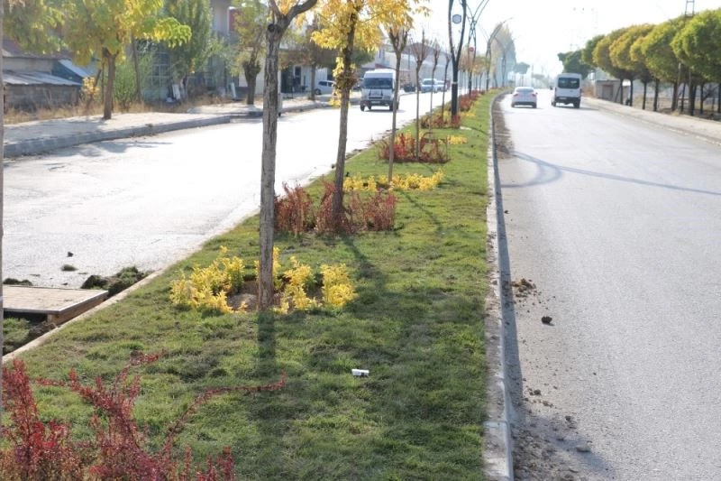 Erciş Belediyesinden çimlendirme çalışması
