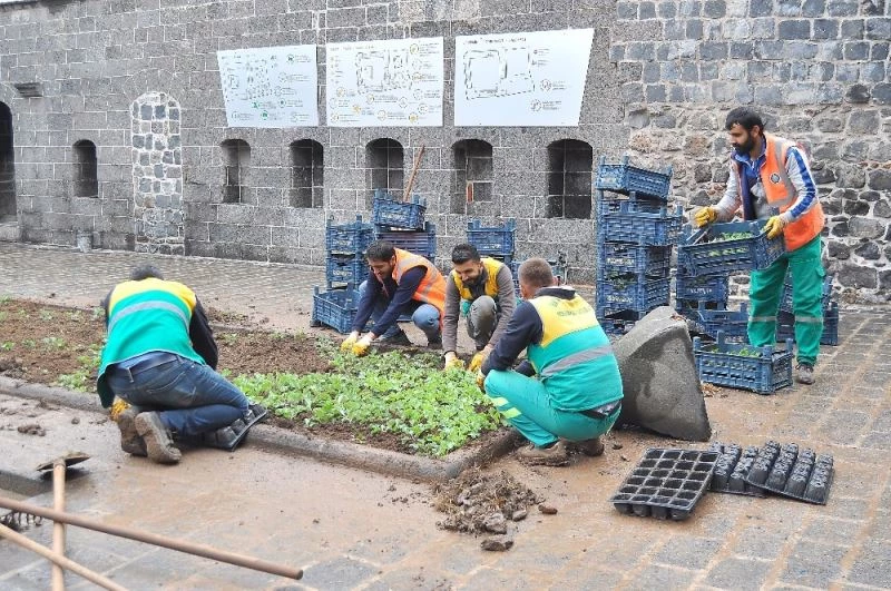 Diyarbakır Büyükşehir Belediyesi, kavşak ve refüjlere 1 milyon 250 bin çiçek dikecek
