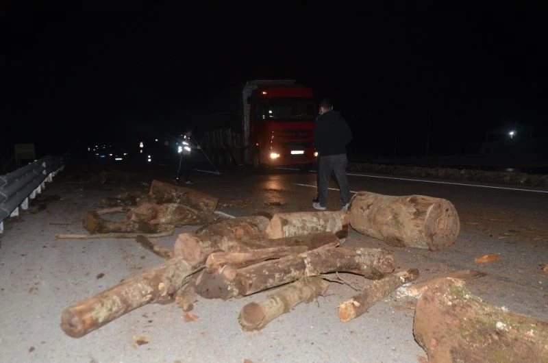Kamyondaki odunlar karayoluna düştü, iki araçta maddi hasar oluştu
