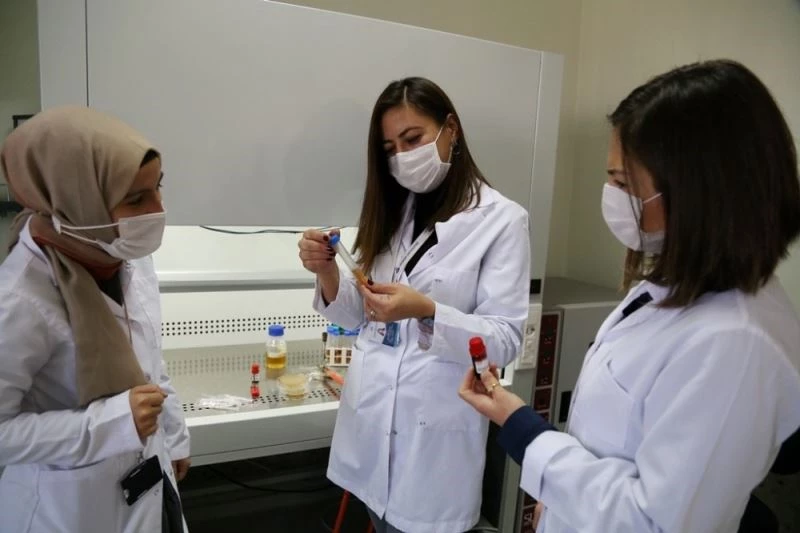 ASÜ’lü araştırma grubu peynirden ilaç üretecek
