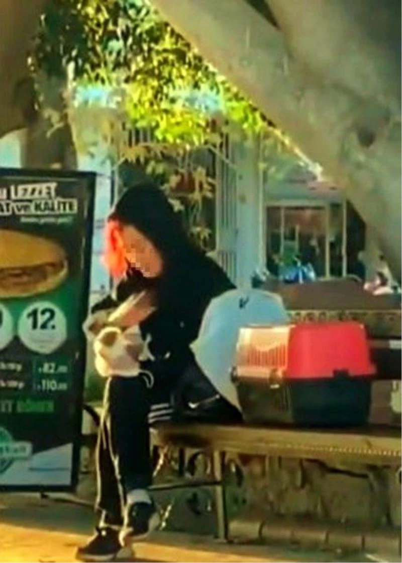 Hamster’e tokat ve ısırık cezasız kalmadı
