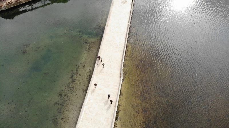 (Özel) İstanbul barajlarındaki su kalitesi alarm veriyor
