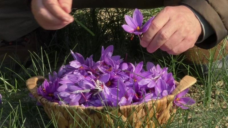 Safranbolu ziyaretinde ilgisini çekti, emekli olduktan sonra denedi
