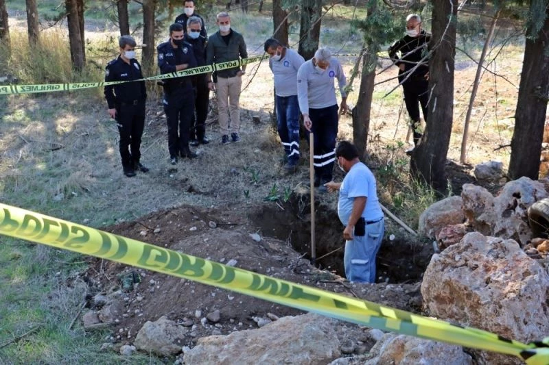 Hastalanınca uyutulup gömülen Çin Aslanı cinsi köpek polisi alarma geçirdi
