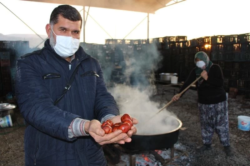 Düşten lansmana yolculuk: Rüyasında gördü, 13 bin fidan dikti, 600 ton üretti, şimdi de pekmezini yapıyor
