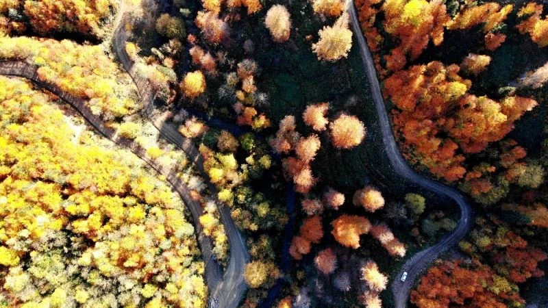 Türkiye’nin en büyük blok ormanlarını barındıran Yenice’de sonbahar güzelliği
