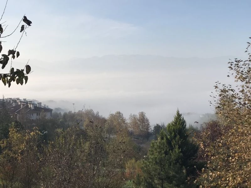 Düzce sis denizine döndü

