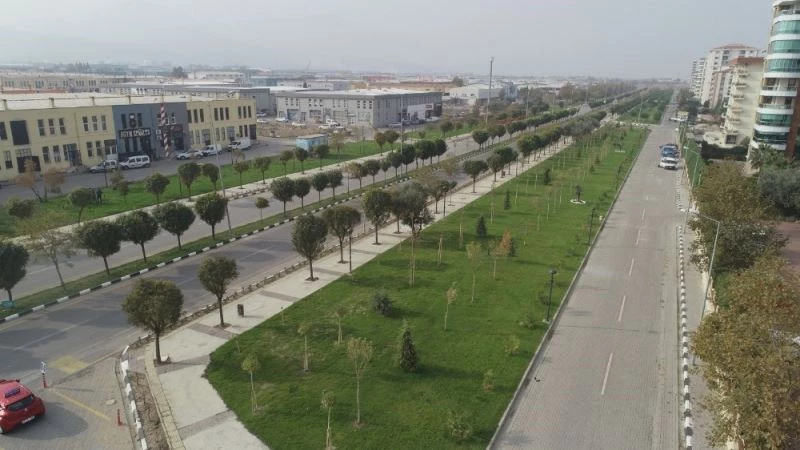 Yunusemre’de 35 bin metrekarelik alan yeşillendi
