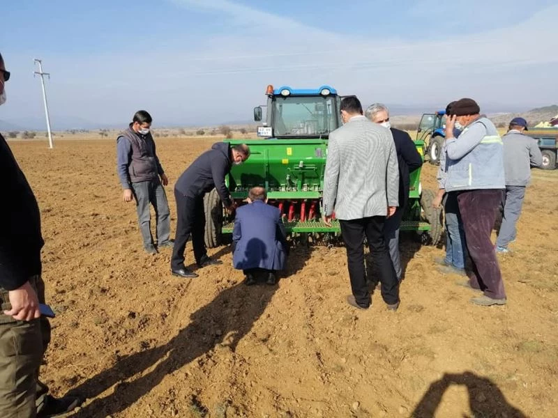 Dumlupınar’da Macar Fiğ Tohumu yetiştirme çalışmaları
