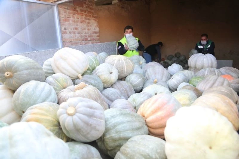 Ürettiği 3 ton bal kabağını ihtiyaç sahipleri için bağışladı

