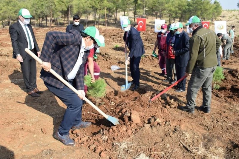 Ağaçlandırma döneminde 300 bin fidan dikilmiş olacak
