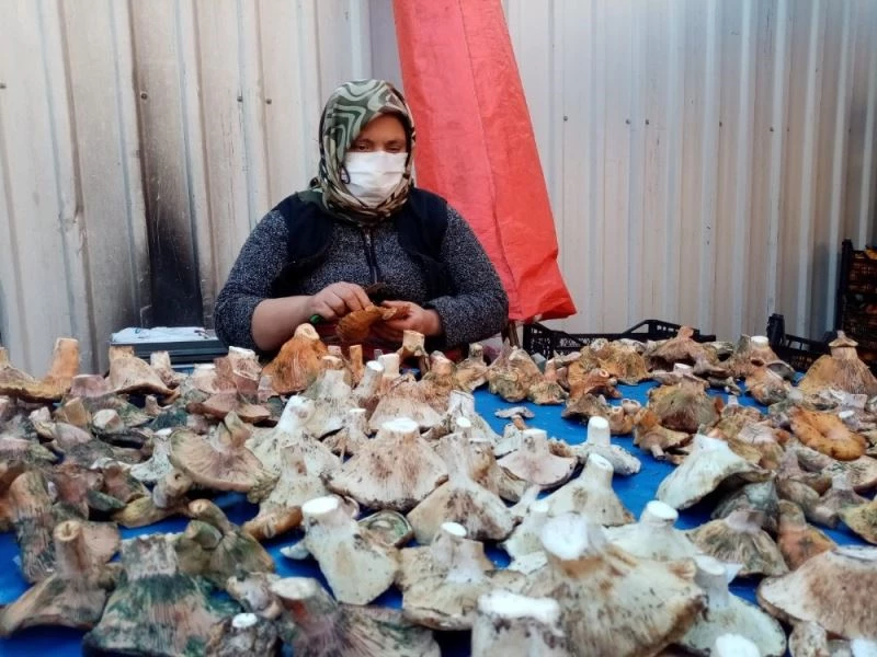 Havalar kurak gidince mantar fiyatları yüzde 100 zamlandı
