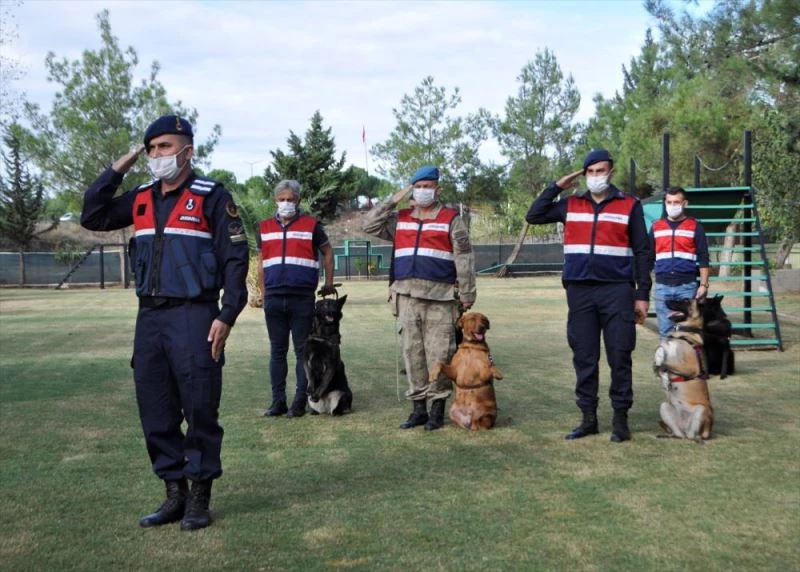 Zorlu eğitimlerden geçirilen jandarmanın 