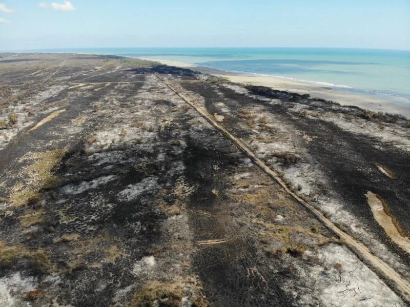 TEMA Vakfı Samsun İl Temsilciliği: “Kızılırmak Deltası’nın takipçisiyiz”
