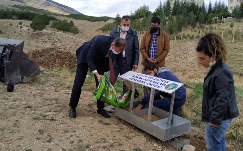 Yunak’ta sokak hayvanlarına besleme noktası
