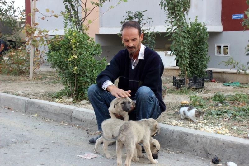 Terter’de savaş mağduru vefalı siviller, sokak hayvanlarını unutmadı
