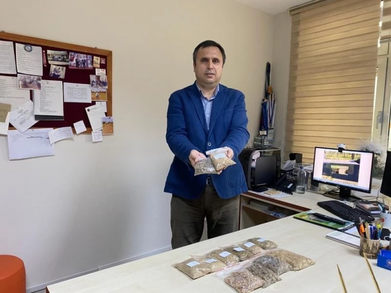 Antalya’da 200 bin ton bitkisel atık enerjiye dönüştürülebilir
