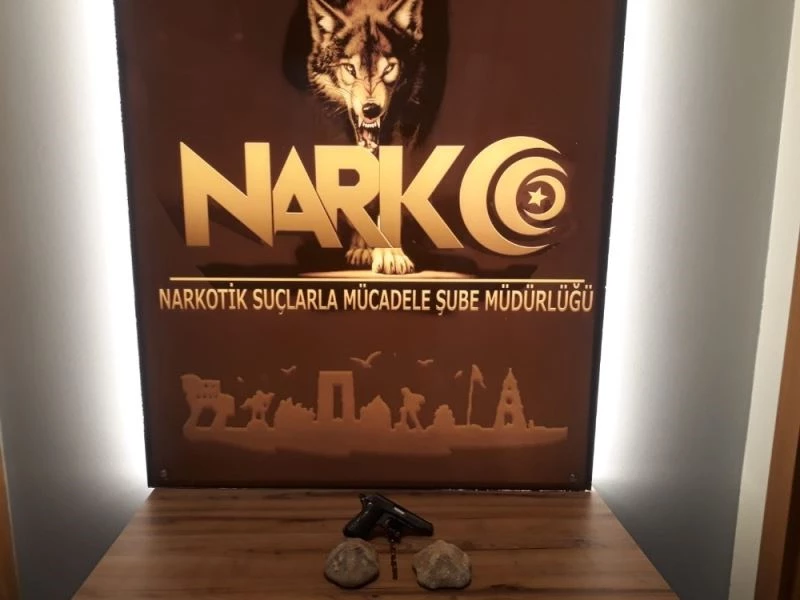 Çanakkale’de 30 milyon yıl öncesine ait 2 deniz fosili ele geçirildi
