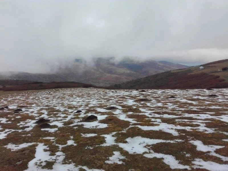 Ordu’da yaylalar renklendi

