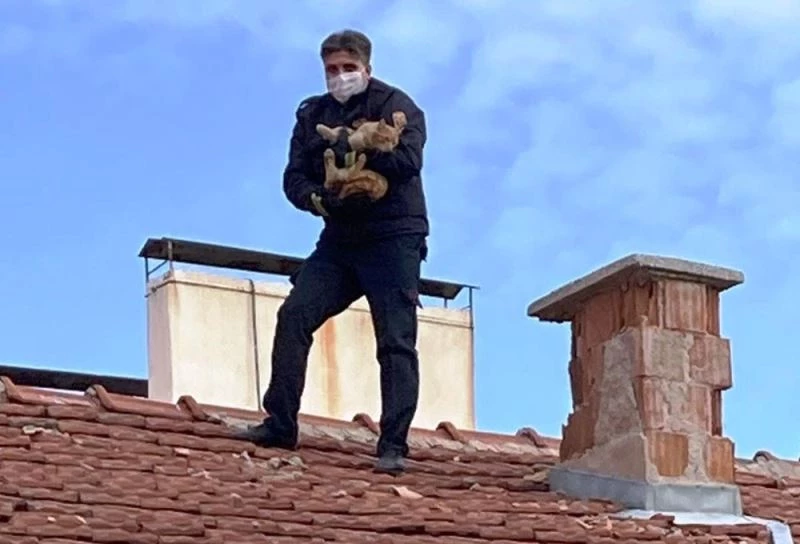 Kiremitlerin arasına sıkışan kediyi itfaiyeciler kurtardı
