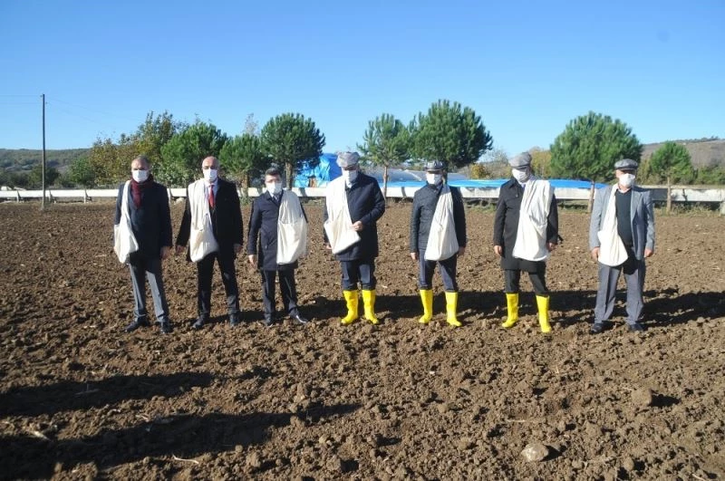 Bafra’da yerli atalık tohum toprakla buluştu
