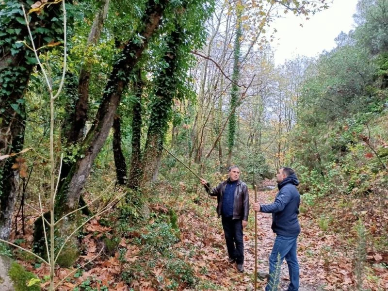 Başkan Erdoğan, trekking yolunu inceledi
