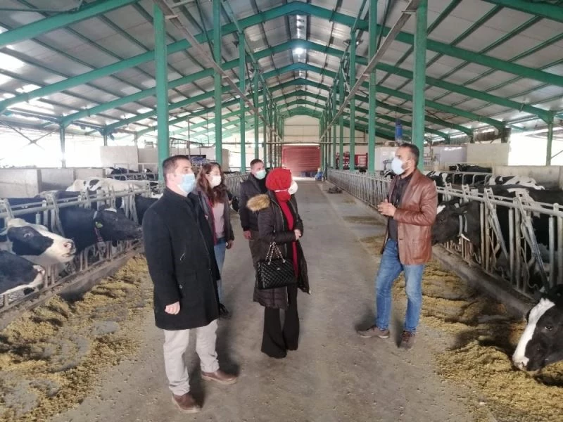 Kaymakam Kurt’un besihane ve süt üretim tesisini ziyareti
