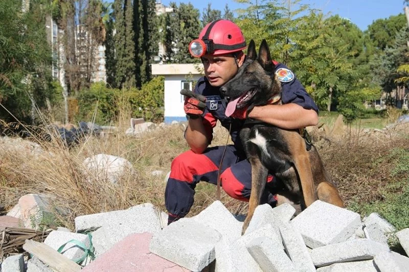 İnsan dostu köpekler zor günler için eğitiliyor

