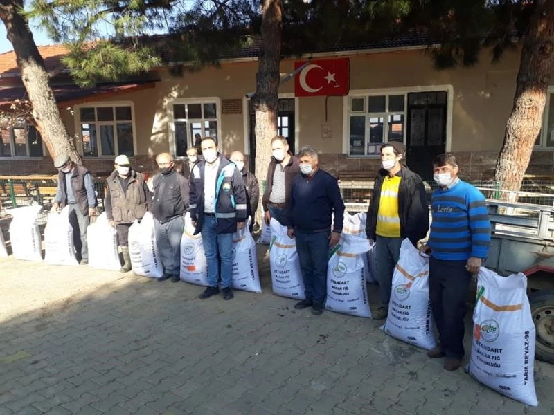 Çiftçilere ücretsiz Macar fiği tohumu dağıtıldı
