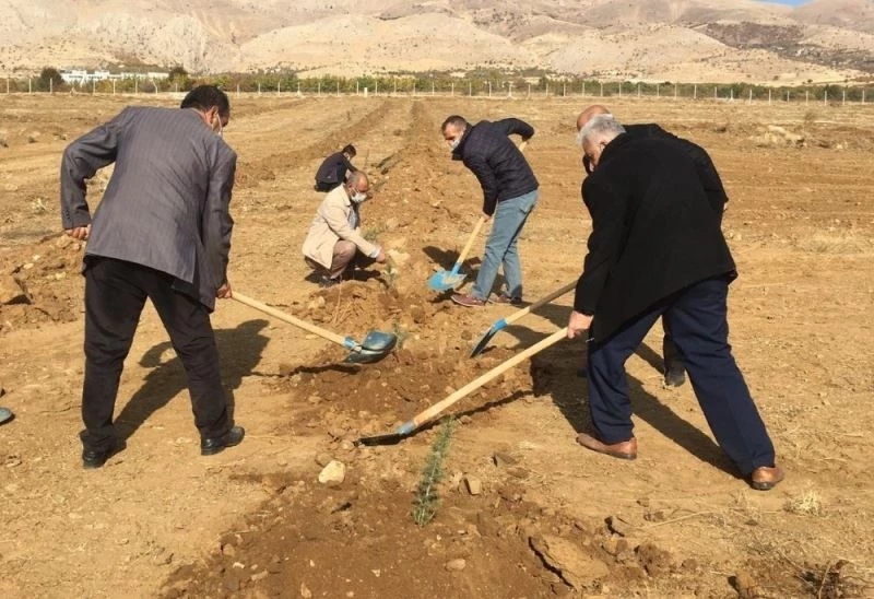 Baskil MYO kampüsüne 2 bin 160 fidan dikildi
