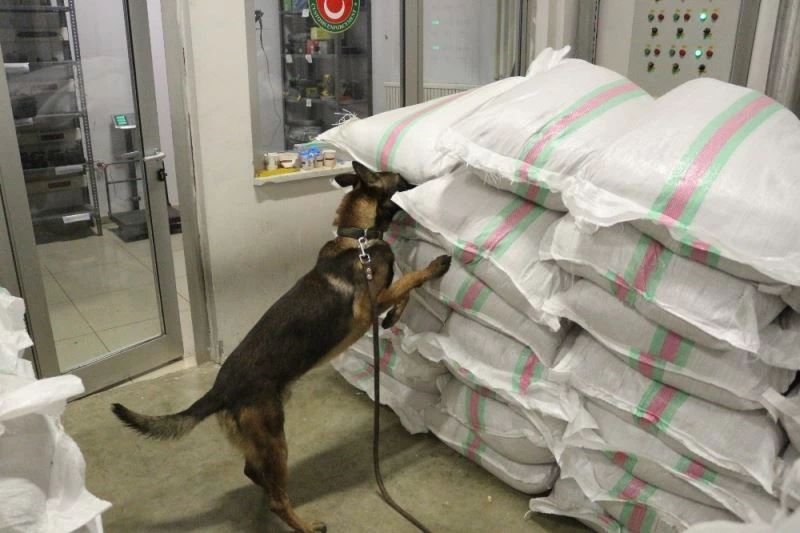 Esendere Gümrük Kapısı’nda 3 milyonluk uyuşturucu operasyonu
