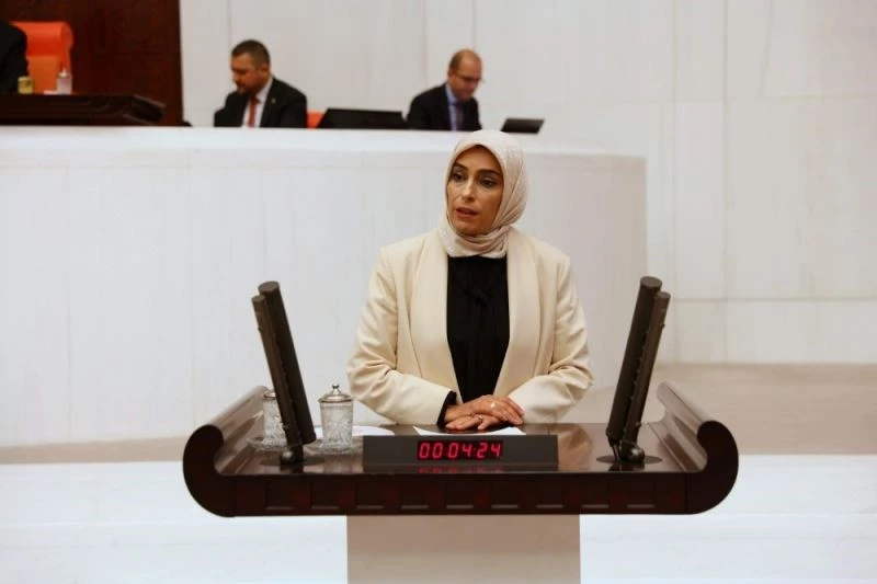 AK Parti Milletvekili Ban, NATO PA ekonomi ve güvenlik komisyonu Başkan Yardımcılığı görevine seçildi
