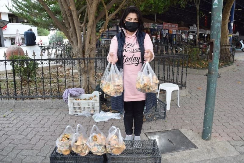 Topladıkları mantarlar geçim kaynakları oldu
