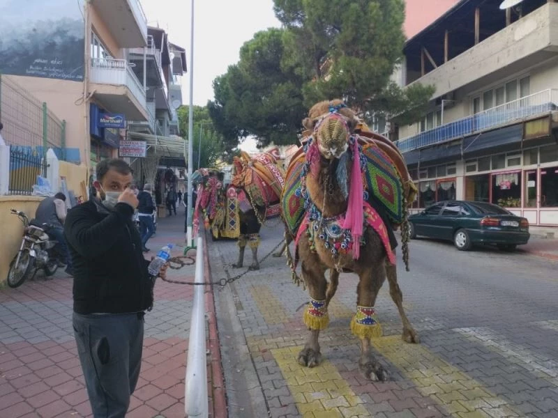Kış aylarının gelmesiyle birlikte devler soğuktan korunmak için havutlandı
