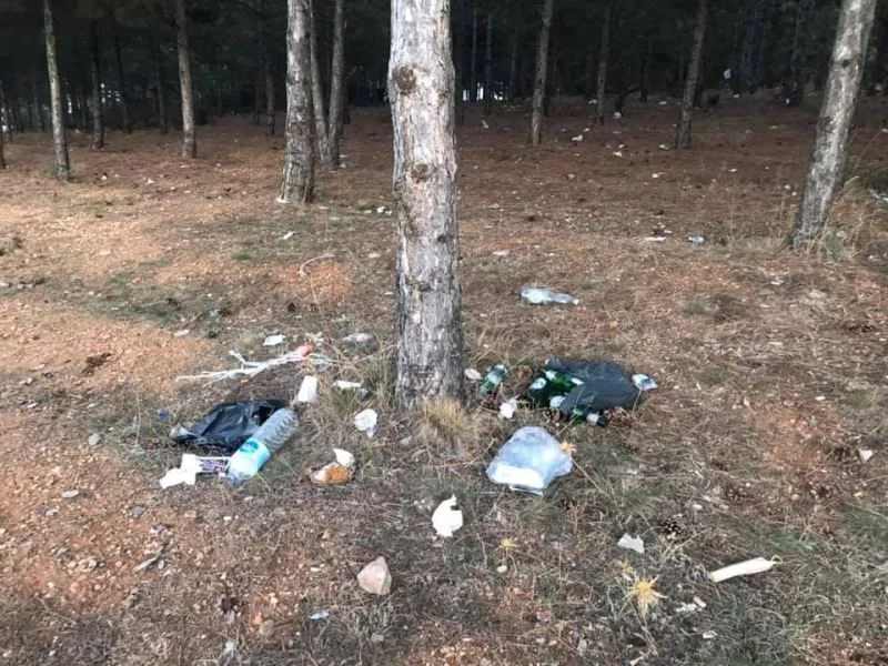 Kent Ormanı pislikten geçilmiyor
