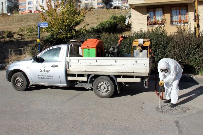 Çankaya’da mazgal, rögar ve bataklık alanlar ilaçlanıyor
