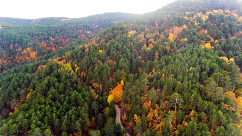 Balıkesir Sındırgı’da sonbahar güzelliği gökyüzünden görüntülendi
