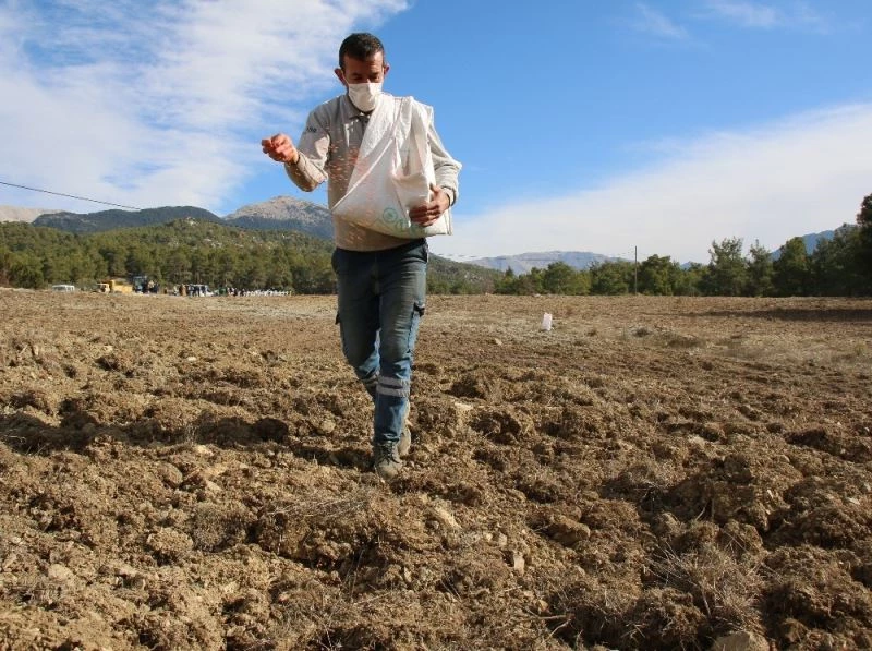Gündoğmuşlu çiftçiler ekime başladı
