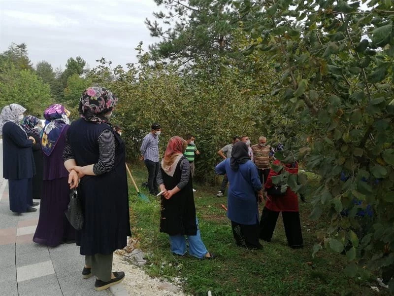 24 çiftçiye budama ve gübreleme eğitimi verildi
